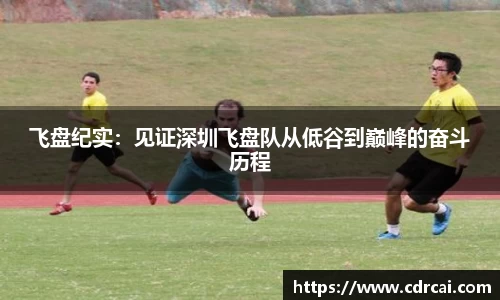 中欧体育平台