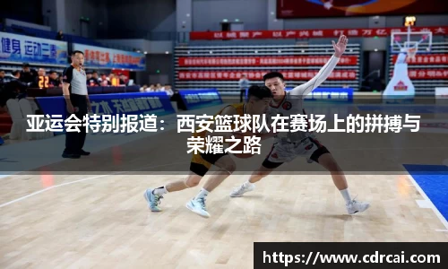 中欧体育登录入口